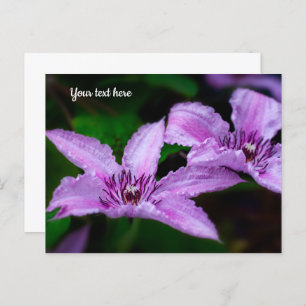 Postal Postcarta de Purple Clematis