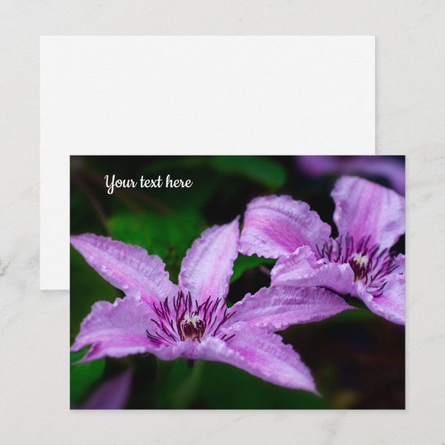 Postal Postcarta de Purple Clematis (Anverso / Reverso)
