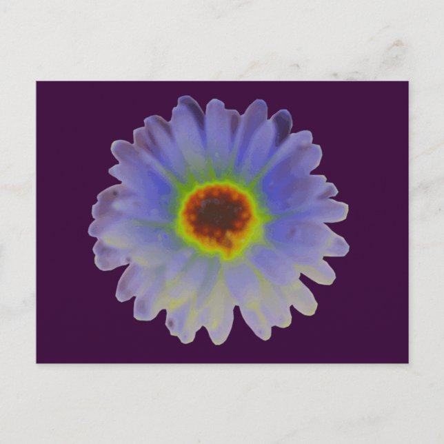 Postal Postcarta de Rainbow Marigold (Anverso)