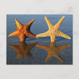 Postal Postcarta de reflexión de Starfish