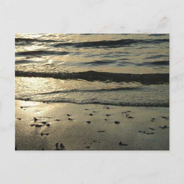 Postal Postcarta de reflexiones oscuras (Anverso)