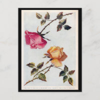 Postcarta de rosas rosadas y amarillas de Victoria