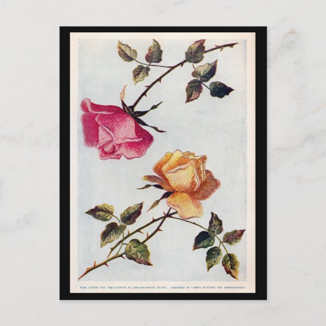 Postal Postcarta de rosas rosadas y amarillas de Victoria (Anverso)