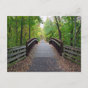 Postal Postcarta de ruta de bosque