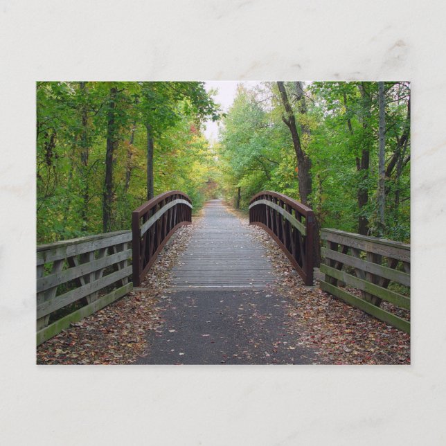 Postal Postcarta de ruta de bosque (Anverso)