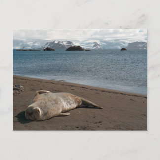 Postal Postcarta de sellado para dormir