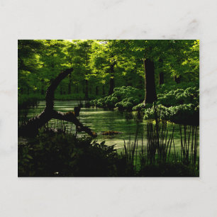 Postal Postcarta de sendero de la paz