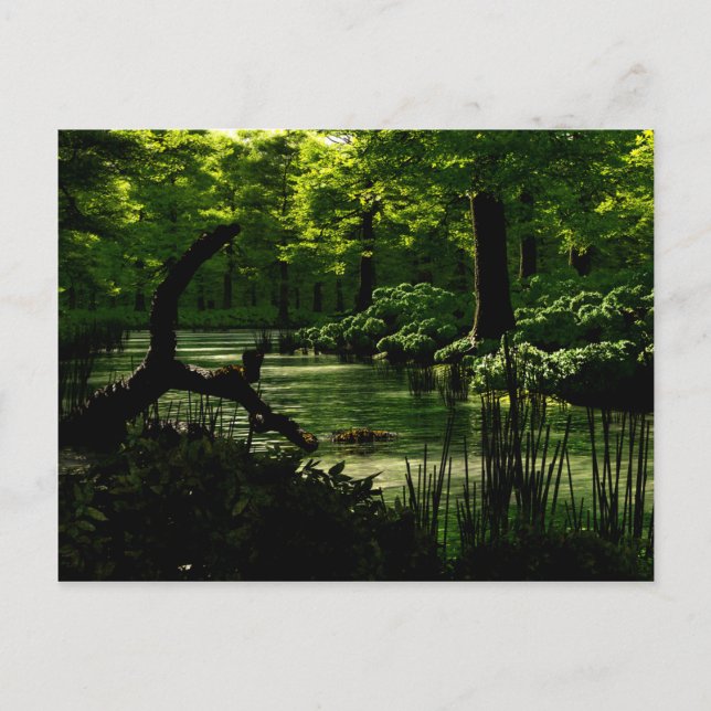 Postal Postcarta de sendero de la paz (Anverso)