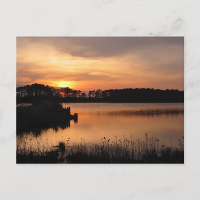 Postal Postcarta de sol de Assawoman (Anverso)