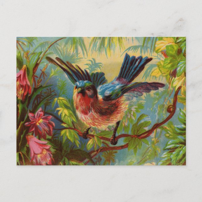 Postal Postcarta de Summer Bluebird (Anverso)