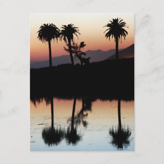 Postal Postcarta de Sunset (Anverso)