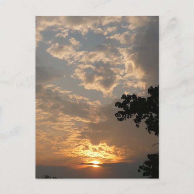 Postal Postcarta de Sunset (Anverso)
