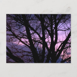 Postal Postcarta de Sunset
