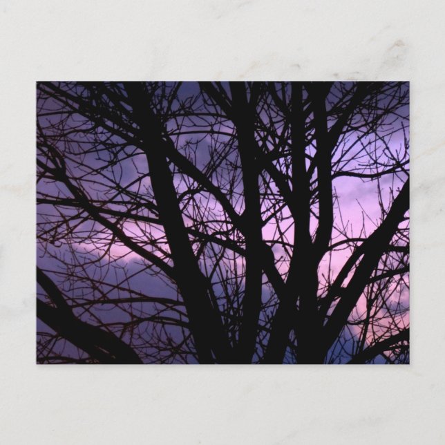 Postal Postcarta de Sunset (Anverso)