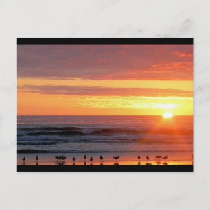 Postal Postcarta de Sunset