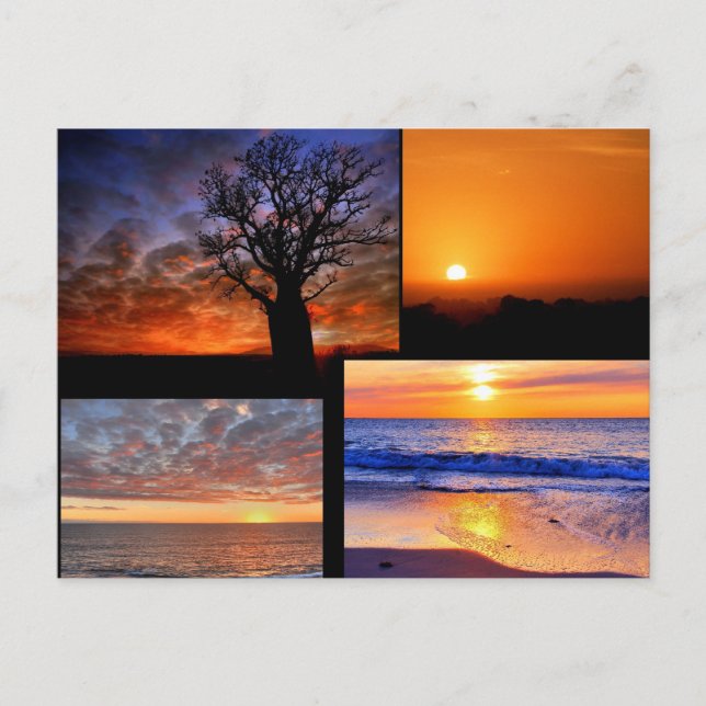 Postal Postcarta de Sunset Collage (Anverso)