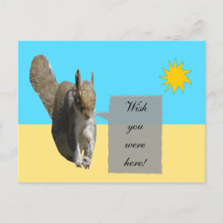 Postal Postcarta de Sunshine de ardilla