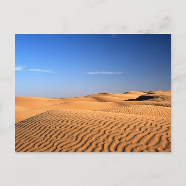 Postal Postcarta de Túnez del desierto del Sahara (Anverso)