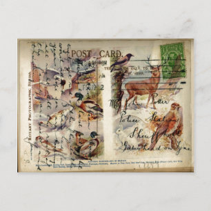 Postal Postcarta de verano e invierno sobre vida silvestr