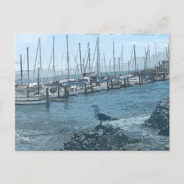 Postal Postcarta de vigilancia de gaviotas (Anverso)