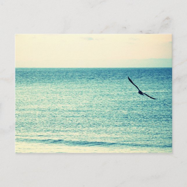 Postal Postcarta de Wind Masters (Anverso)