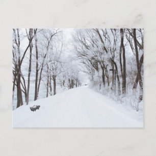 Postal Postcarta de Winter Road