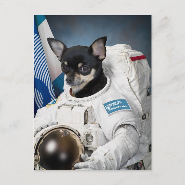 Postal Postcarta del astronauta Chihuahua (Anverso)