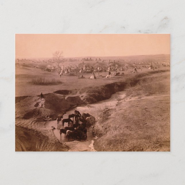 Postal Postcarta del campamento de Lakota Tipi (Anverso)