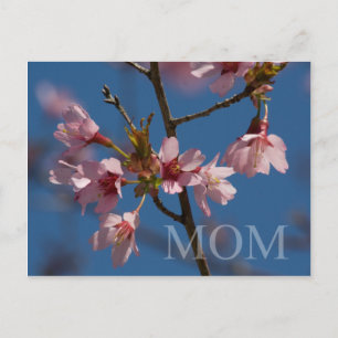 Postal Postcarta del Día de la Madre