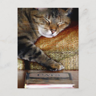 Postal Postcarta del libro del sueño de Kitty