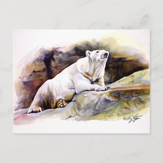 Postal Postcarta del oso polar restante (Anverso)
