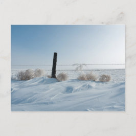 Postal Postcarta del paisaje invernal
