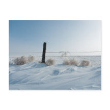 Postcarta del paisaje invernal