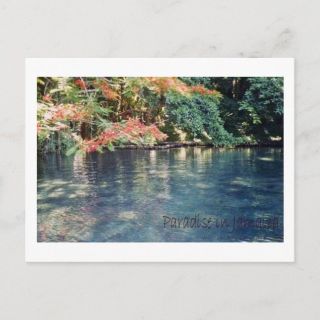 Postal Postcarta del paraíso de Jamaica (Anverso)