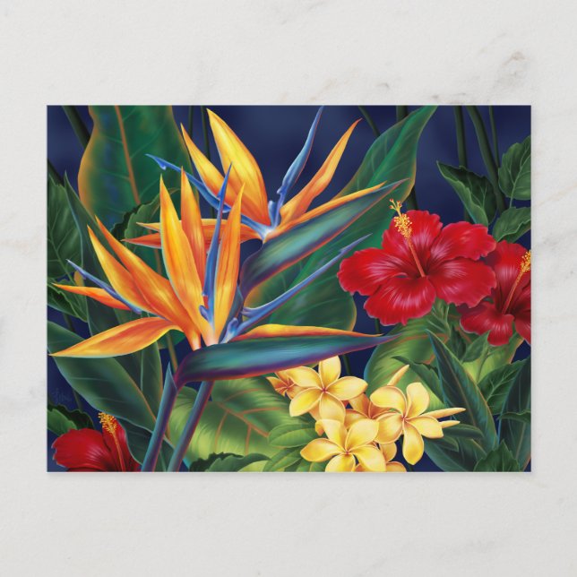 Postal Postcarta del paraíso tropical (Anverso)