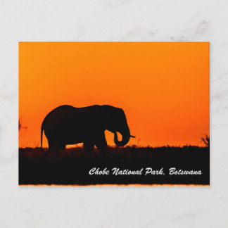 Postal Postcarta del Parque Nacional de Chobe
