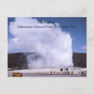 Postal Postcarta del parque nacional Old Faith Yellowston