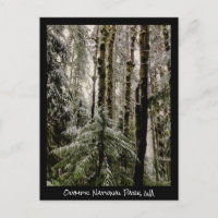 Postcarta del Parque Nacional Olímpico