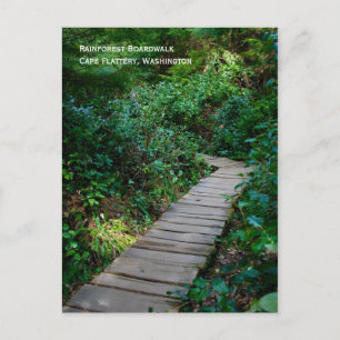 Postal Postcarta del paseo marítimo de selva tropical