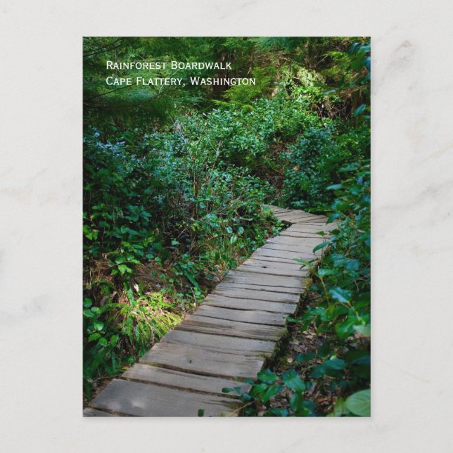 Postal Postcarta del paseo marítimo de selva tropical (Anverso)