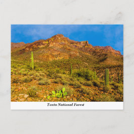 Postal Postcarta forestal nacional de Tonto