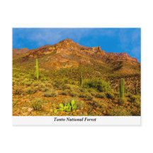Postcarta forestal nacional de Tonto