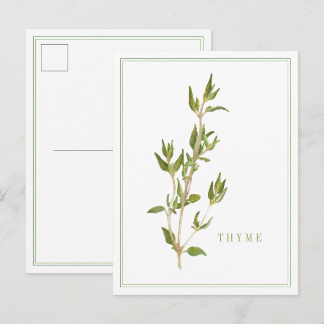 Postal Postcarta FRESCA THYME (Anverso / Reverso)