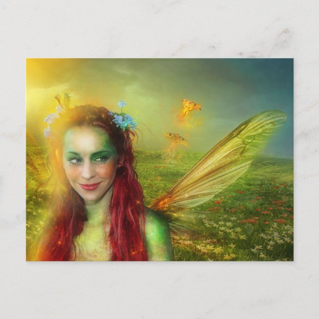 Postal Postcarta gitana de moscas (Anverso)