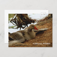 Postcarta madre de Goose