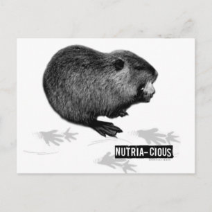 Postal Postcarta nutritiva