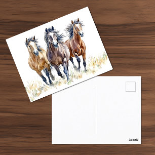 Postal Postcarta occidental de caballos salvajes y libres