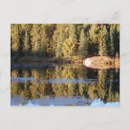Postal Postcarta panorámica de Algonquin
