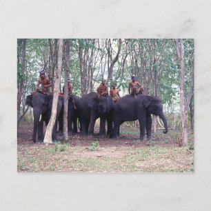 Postal Postcarta para elefantes asiáticos