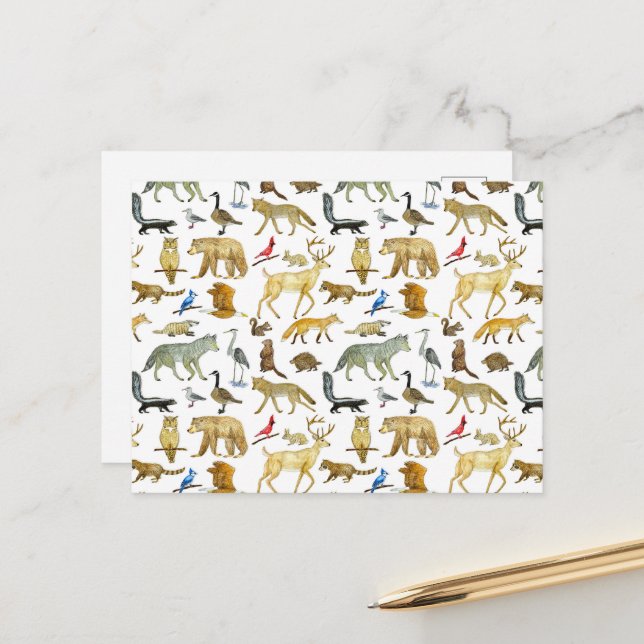 Postal Postcarta sobre la vida silvestre de los Grandes L (Anverso/Reverso In Situ)